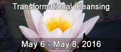 5/6 - Transformational Cleansing