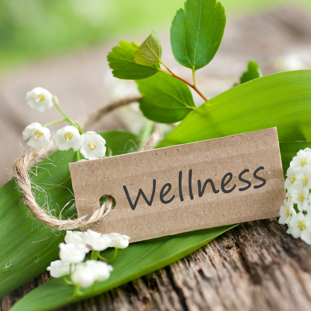 Omega Wellness Retreat Weekend: August 7-9, 2020